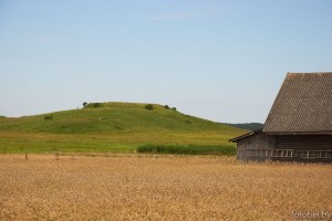 городище в деревне Санники 