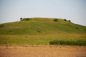 городище в деревне Санники 