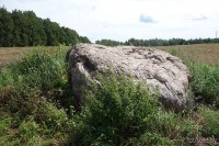 Валун Залученский