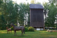 ветряная мельница в Русино