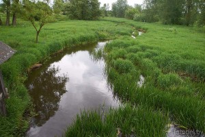 фото реки Ольшанка